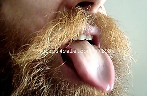 Beard Tongue Clone KB (Videos 1 relative to 7 Previews)